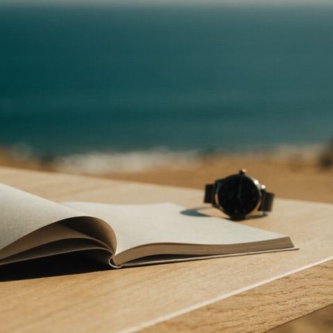 Appointment planner and watch